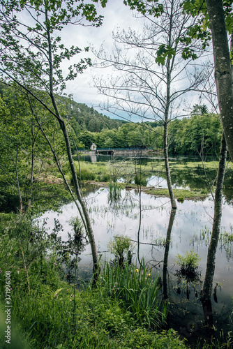 The Baleur pond in Belgium