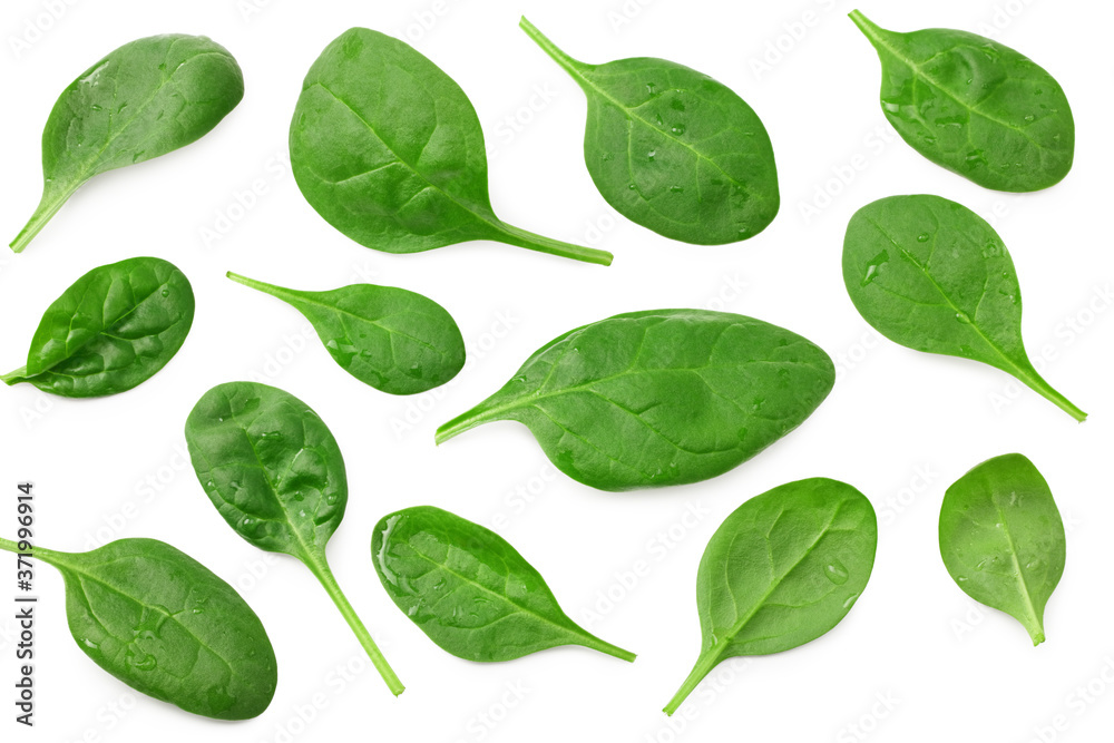 spinach leaves isolate on white background. Healthy food. Top view. spinach leaves isolate on white background. Healthy food. Top view.