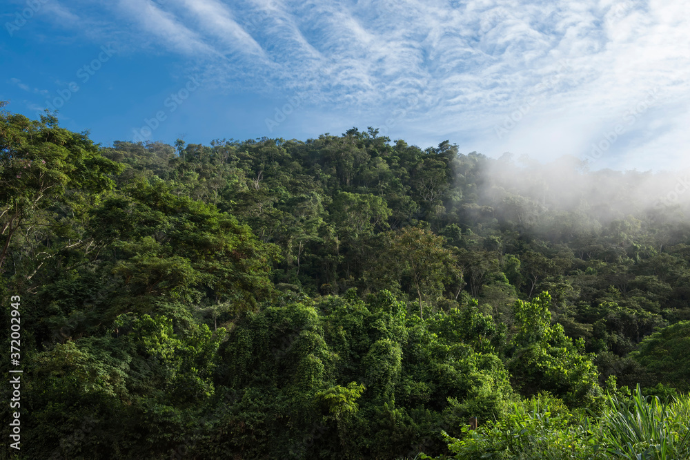 Caratinga Atlantic Forest landscape, Minas Gerais, Brazil