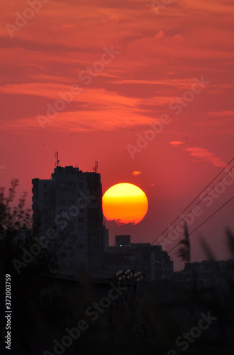 
Huge setting sun and beautiful red skyes over high apartment building, silhouettes of grassес and electrical wires. Burgas city, Bulgaria