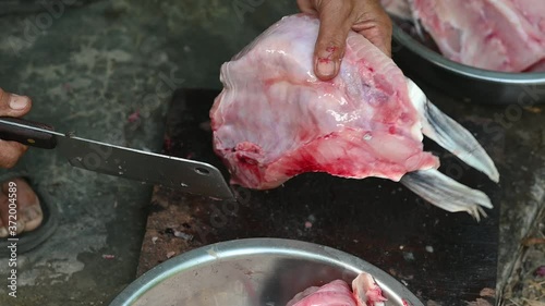 Fishermen are cutting fish for cooking. photo