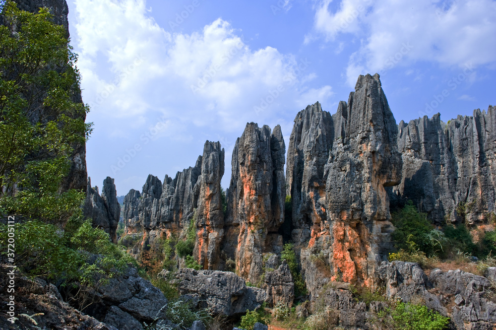 Wonderful and curious Naigu Kuming Chine limestone forest.Unesco world heritage.