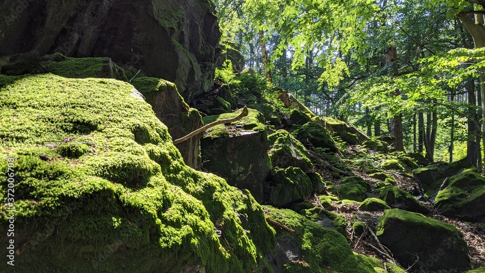 Beautiful cliff Rock in the Central European Forest Beautiful cliff Rock in the Central European Forest