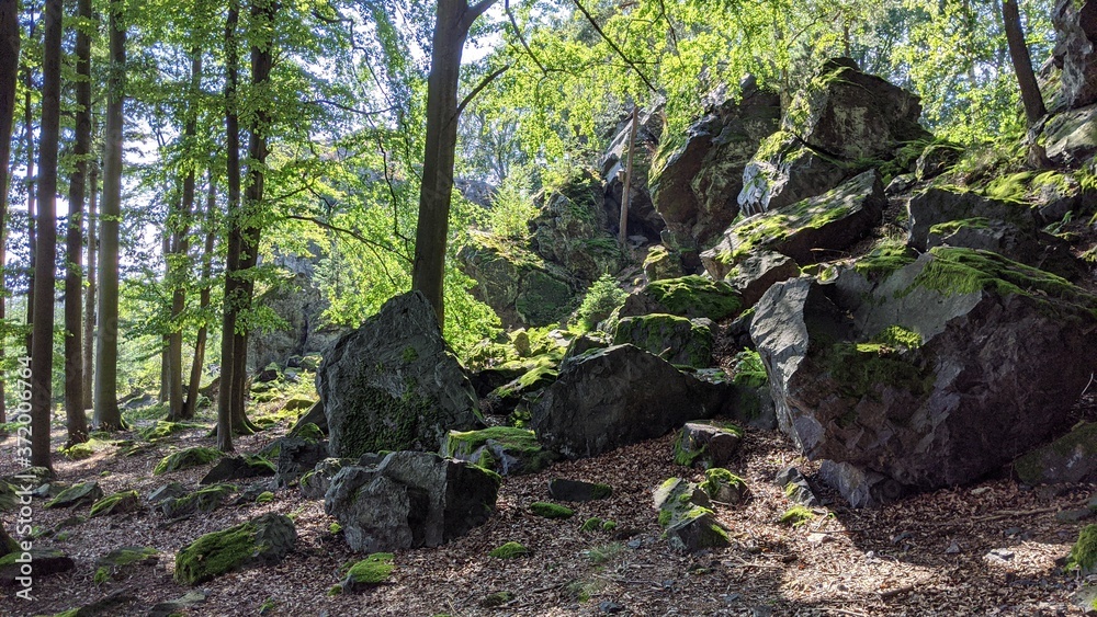 Beautiful cliff Rock in the Central European Forest Beautiful cliff Rock in the Central European Forest