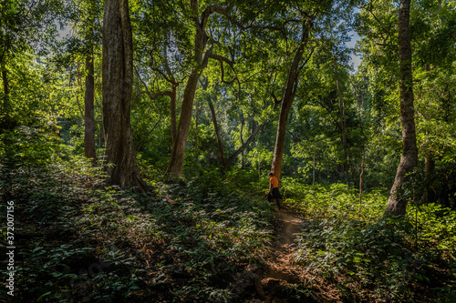 Forests of Dholkal, district Dantewada, Chhattisgarh, India