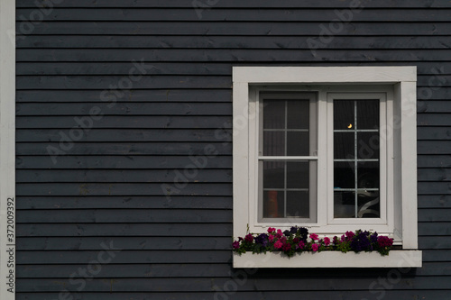 gray wall with white French window and flowers