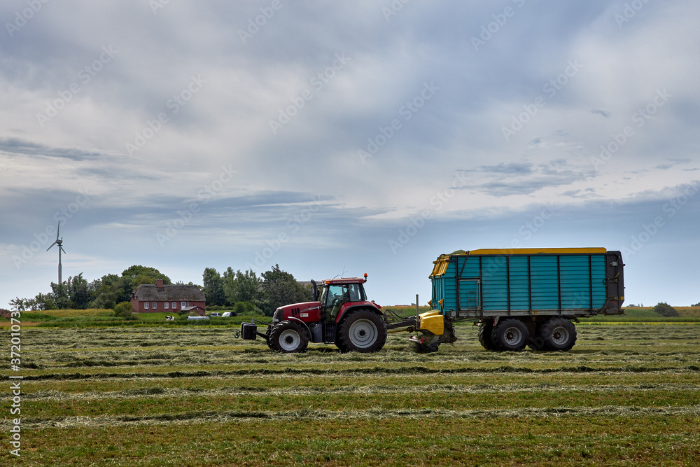 Obraz premium Bauer auf seinem Traktor bei der Heuernte, an einem sonnigen Tag