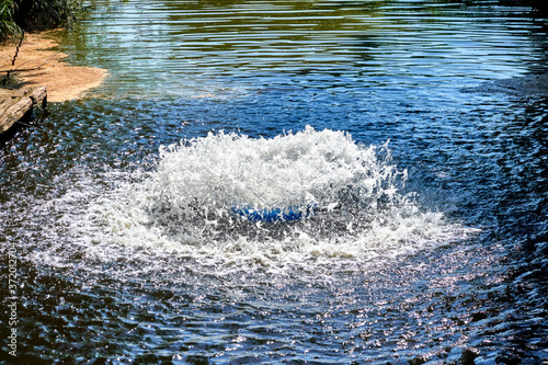 aeration system in a lake, which should increase the oxygen content of the water photo