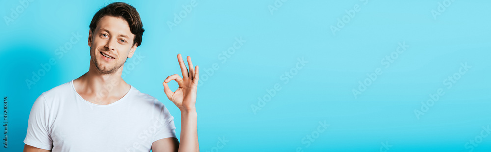 Horizontal image of young man showing ok gesture at camera on blue background Horizontal image of young man showing ok gesture at camera on blue background