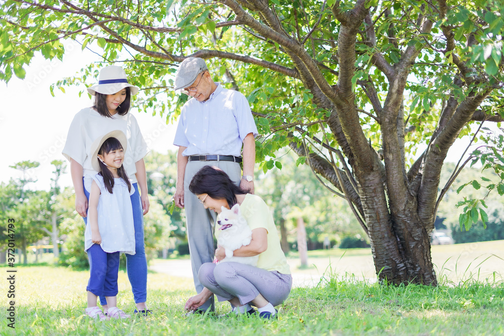 Obraz premium 外で遊ぶ幸せな家族