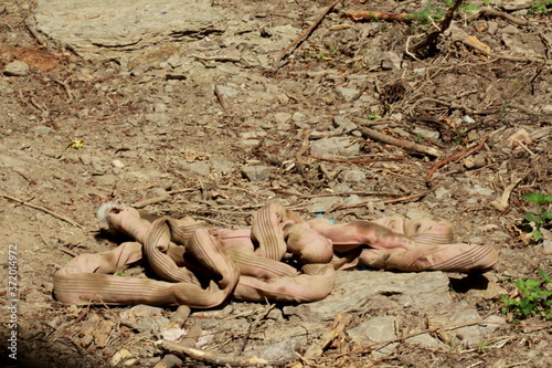 Vieille sangle de remorquage trouvée dans la nature