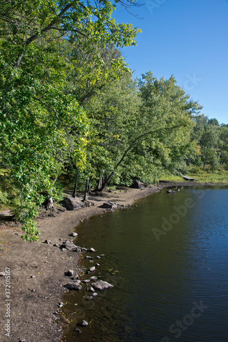 Walden Pond, Massachusetts, on a bright sunny day.