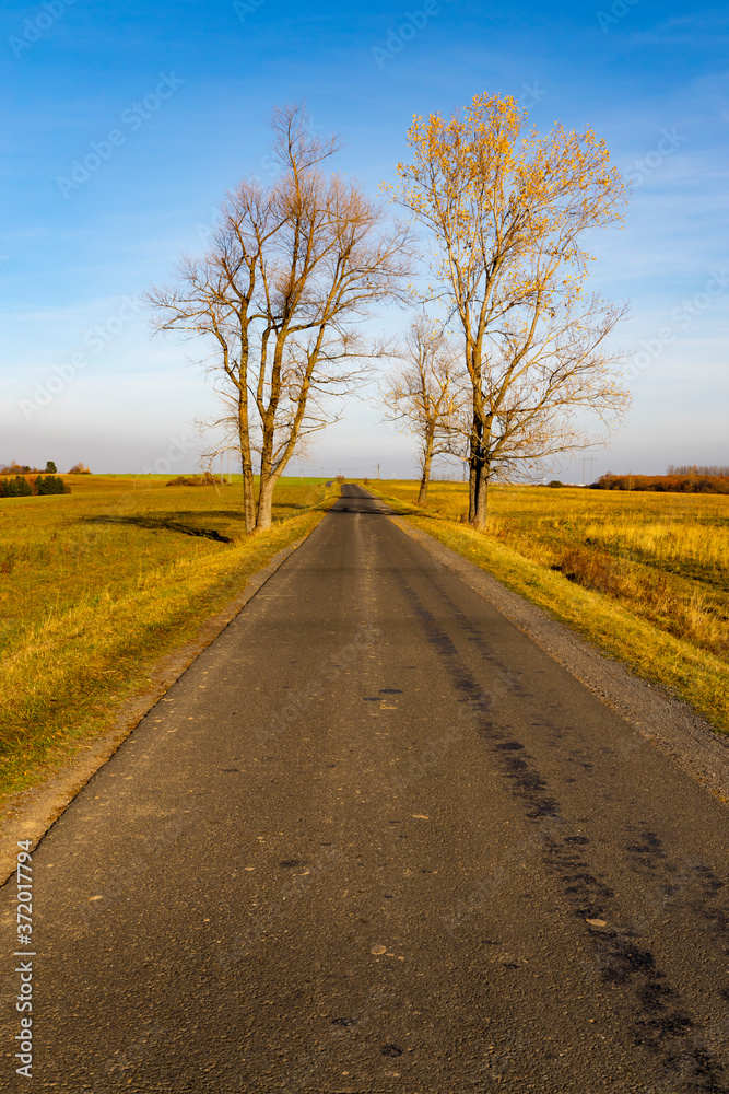 Naklejka premium way under high Tatras in Slovakia