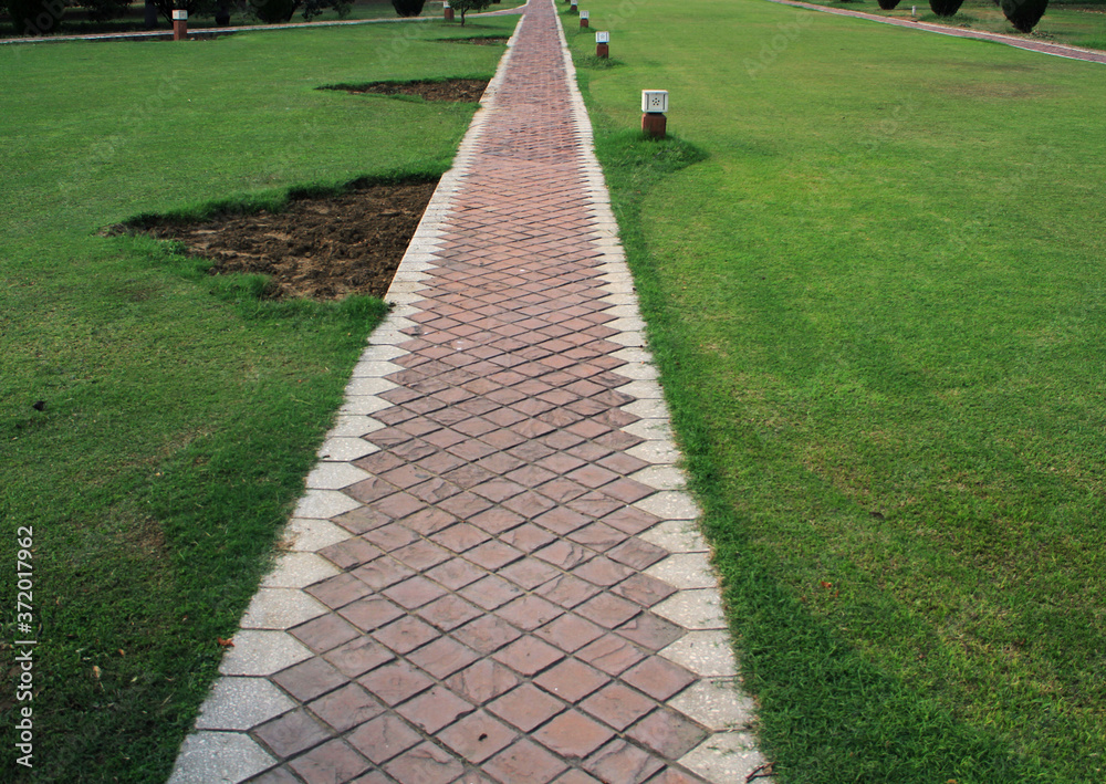 Path to walk with green grass and friendly environment in parks