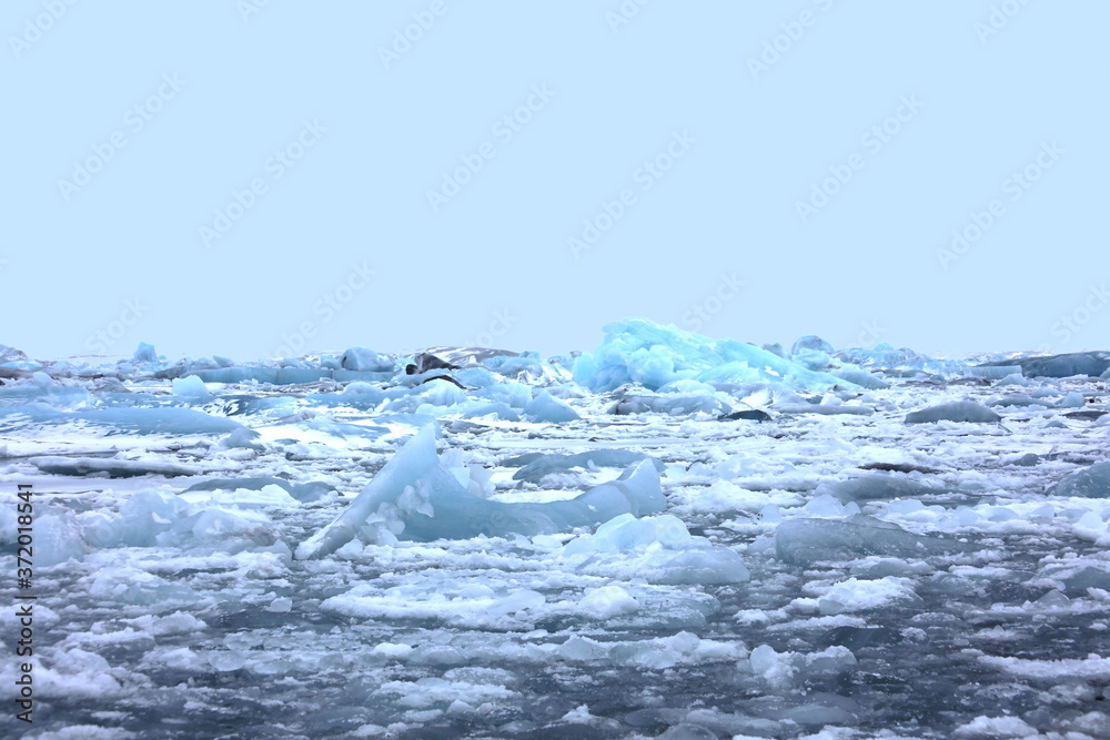 Obraz premium アイスランドのヨークルスアゥルロゥン氷河湖で、氷河湖から氷が海に流れ出して ダイヤモンドビーチを形成しています。