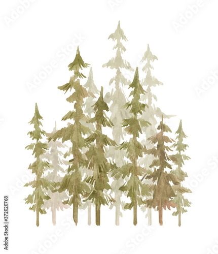 Fototapeta Naklejka Na Ścianę i Meble -  Watercolor fall green deep forest with spruce, oaks, pines trees. Isolated hand drawn illustration with summer wood. Landscape with evergreen autumn trees.