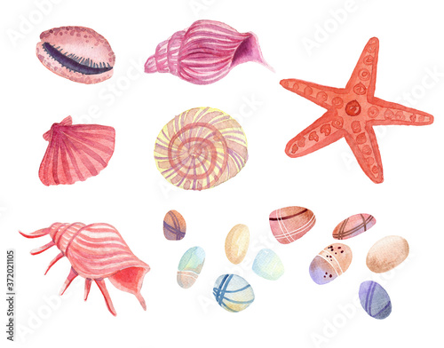 watercolor shells, seat of seashells, stones and starfish