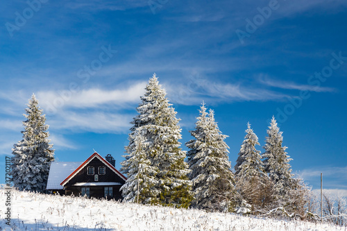 Orlicke Mountains in winter, Czech Republic © Richard Semik