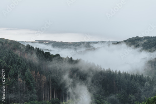 Foggy Day in the hills of Germany © Irene