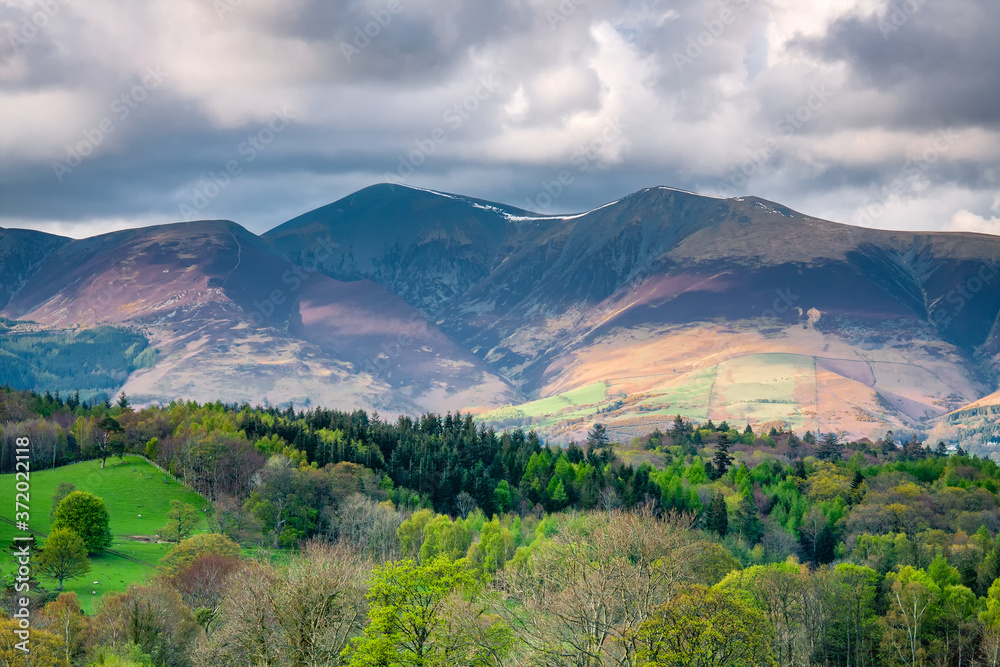 Fototapeta premium Spring Colours at Barrow Hill, English Lake District.