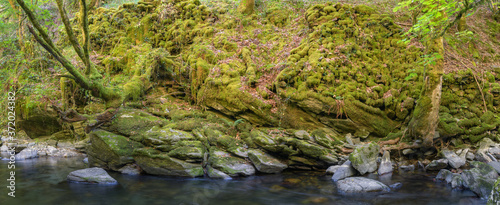 Old moss covered stone walls on the bank of a river