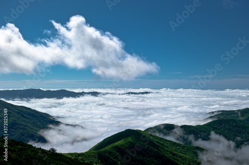 Fototapeta Naklejka Na Ścianę i Meble -  Wonderful and curious sea of clouds at beautiful mountain landscape.