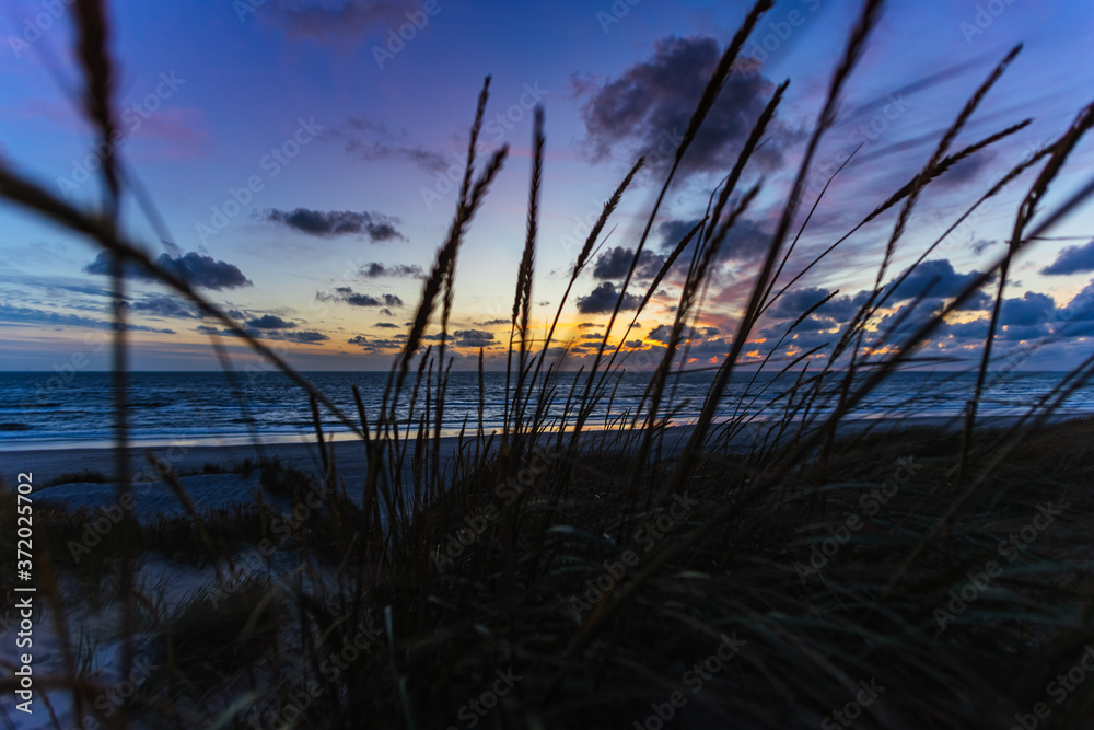 Fototapeta premium sunset over the beach