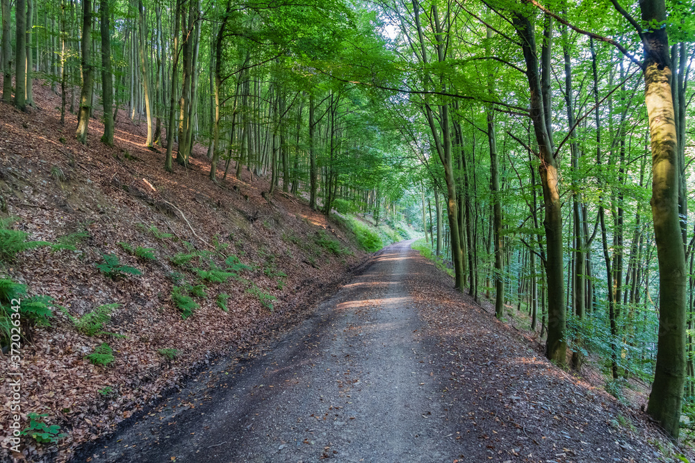Fototapeta premium Auf dem Westwallweg