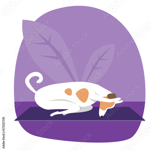 Yoga and jack russell terrier as cartoon character, flat vector stock illustration with dog and asana on leaves background