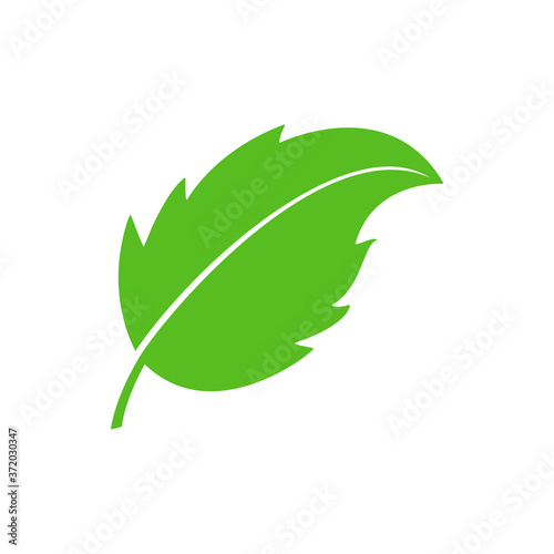 Leaves icon vector. Green leaf flat illustration