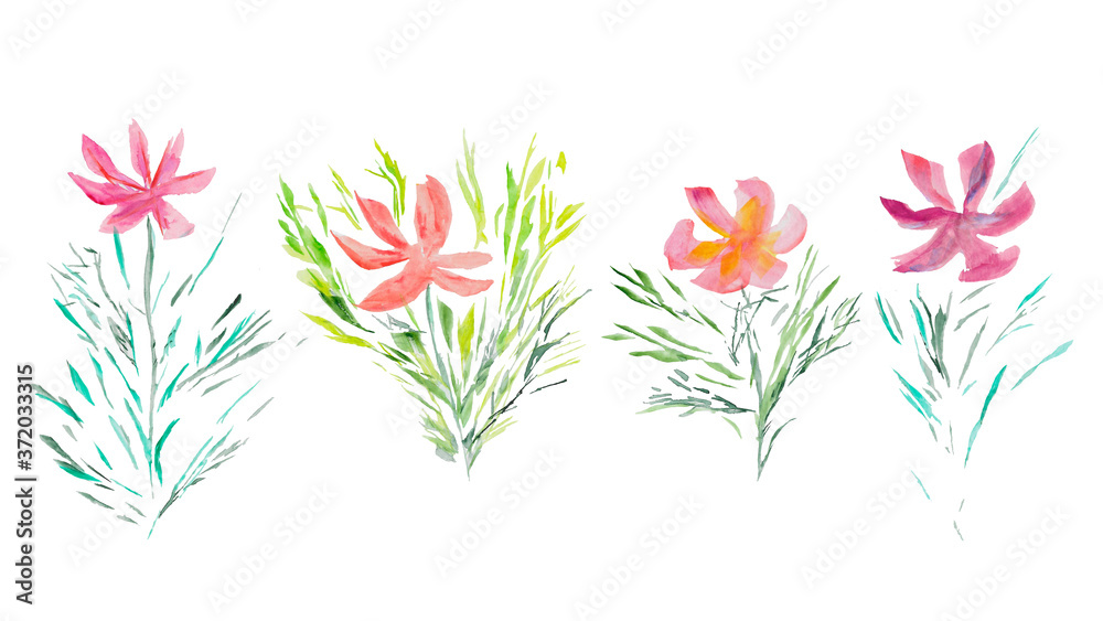 Hand drawn watercolor illustration. Colorful wild flowers. Art element for design.