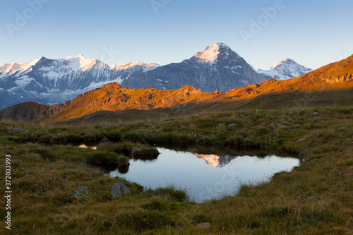 Sunrise view on Bernese range above Bachalpsee lake. Highest peaks Eiger, Jungfrau and Faulhorn in famous location. Switzerland alps, Grindelwald valley. Popular tourist attraction. Europe. 