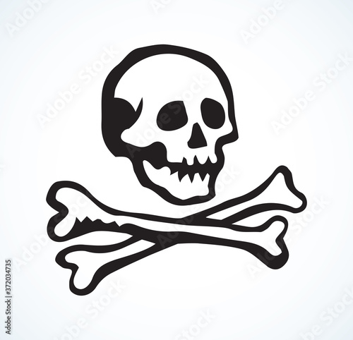 Skull and Bones. Vector drawing