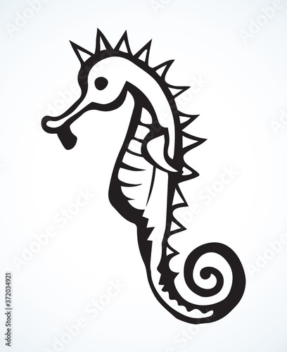 Sea Horse. Vector drawing. Sea fish