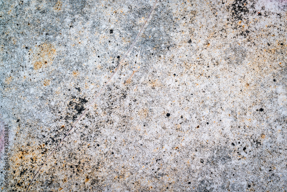 white grunge painted metal texture of a junk car body white grunge painted metal texture of a junk car body