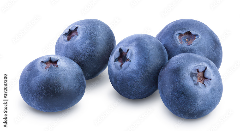 Obraz premium fresh blueberry isolated on white background closeup with clipping path and full depth of field