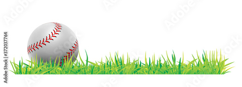 Baseball ball with green grass on white background. Vector