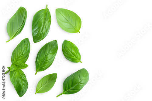 Fresh basil leaf isolated on white background with clipping path. Top view with copy space for your text. Flat lay