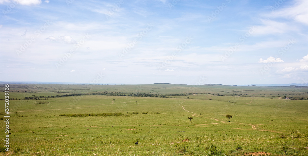 Typical scenic of the Maasai Mara in November looking south to the Serengeti, Kenya. Typical scenic of the Maasai Mara in November looking south to the Serengeti, Kenya.
