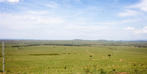 Typical scenic of the Maasai Mara in November looking south to the Serengeti, Kenya.