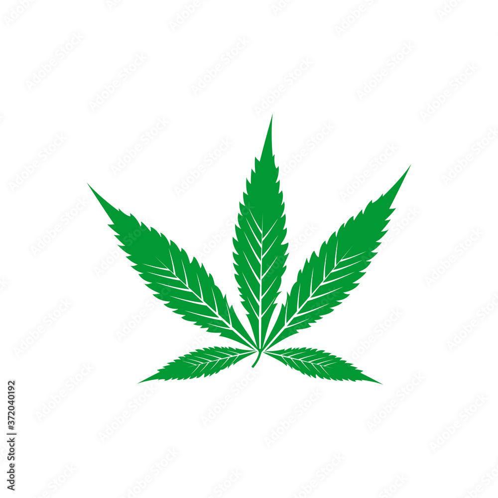 leaf icon vector symbol isolated illustration white background