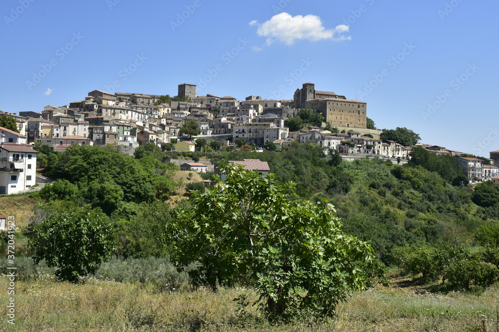 Panoramic view of Altomonte, a rural village in the mountains of the Calabria region.