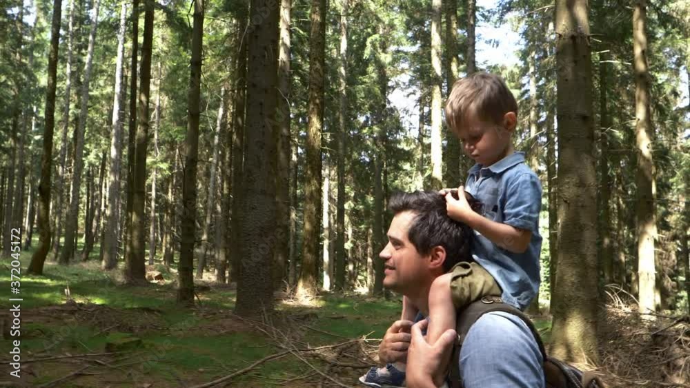 father and son walking in the woods father and son walking in the woods