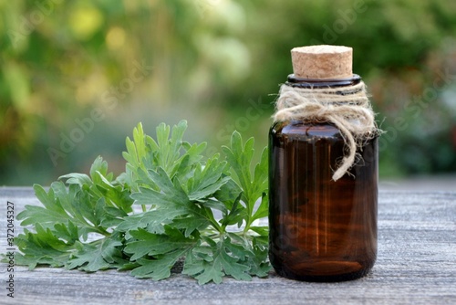 A bottle of herbal tincture and wormwood leaves on a wooden table against the background of the garden close up