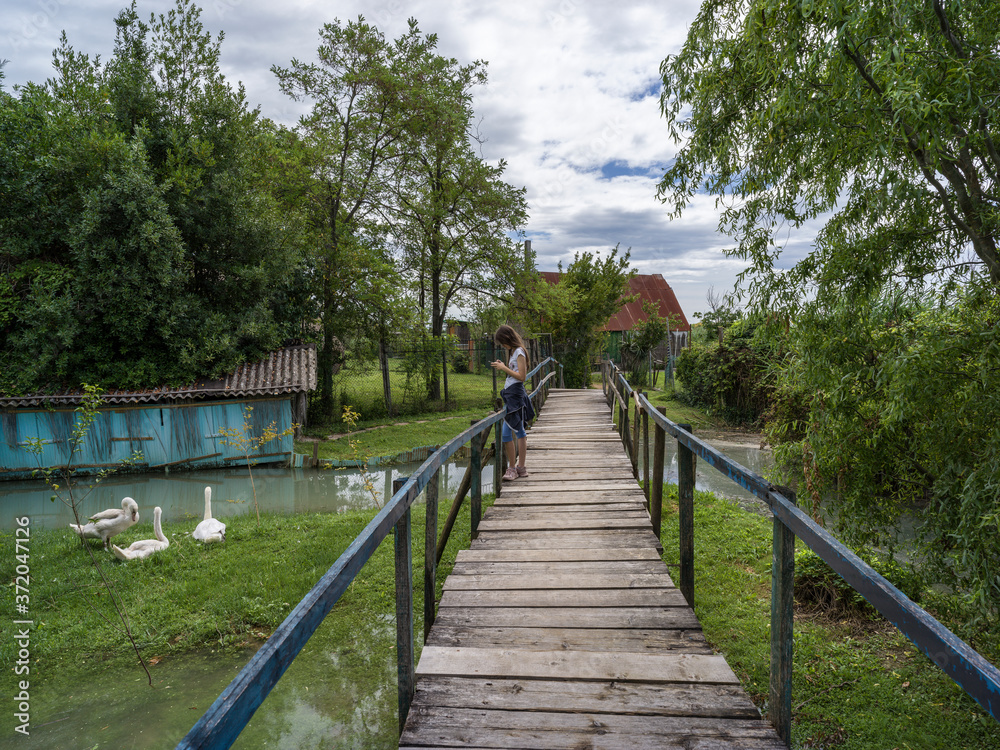 Lagoon landscape with wooden bridge and blue sky