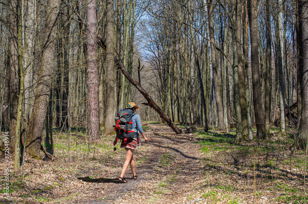 Obraz premium A girl with a backpack in a stylish hat walks through the spring forest. Ukraine