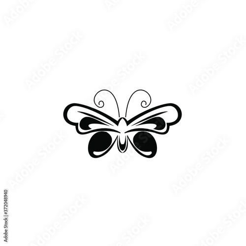 butterfly vector illustration