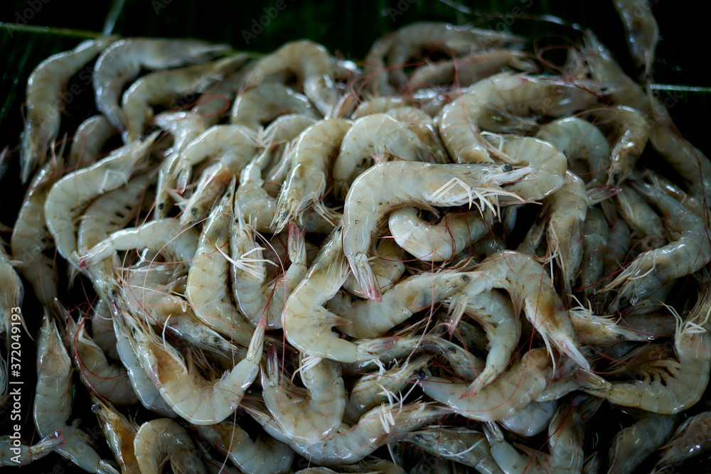 fresh uncooked shrimps for sale at Traditional Seafood Market fresh uncooked shrimps for sale at Traditional Seafood Market