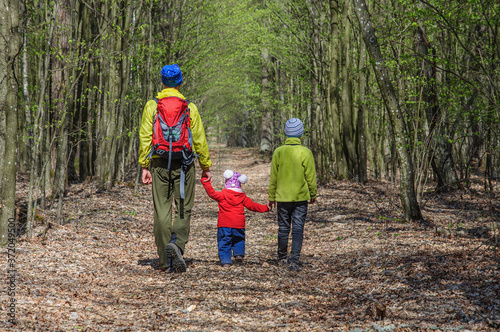 dad with two children walks along a dirt road through a birch grove. Ukraine