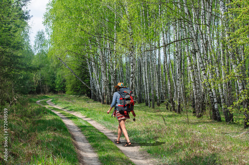 A girl with a backpack and a hat walks along a dirt road through a birch grove. Ukraine